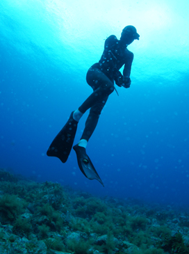 輪島の海女による伝統的素潜り漁法