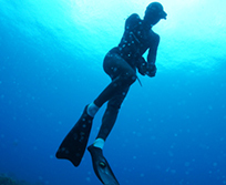 尾口のでくまわし